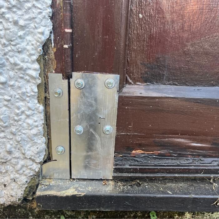 mice rat pest control kent 10