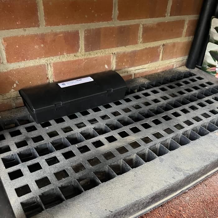 mice rat pest control kent 13