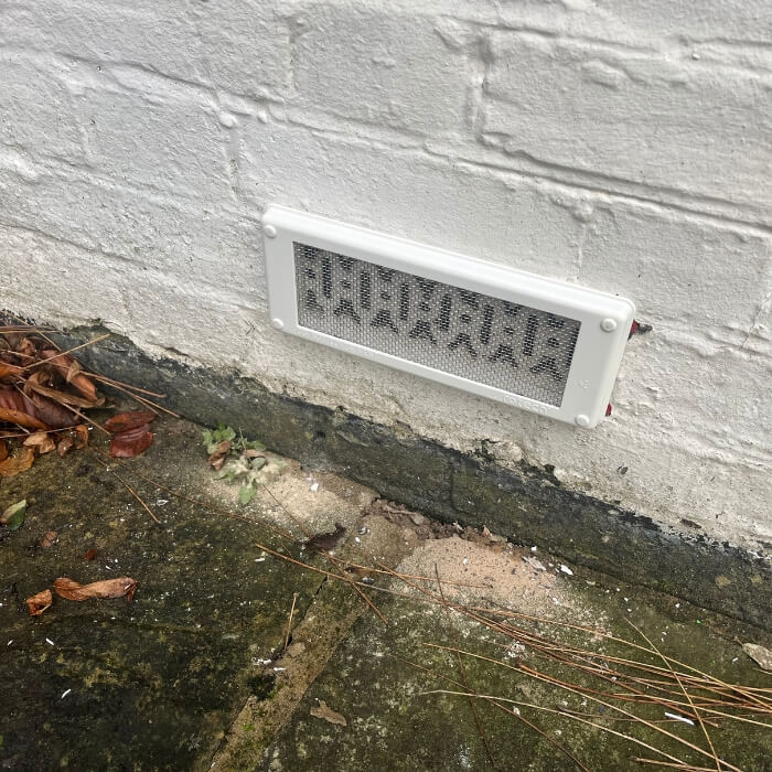 mice rat pest control kent 15