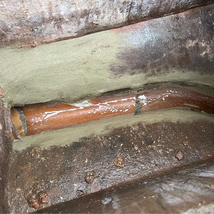 mice rat pest control kent 4