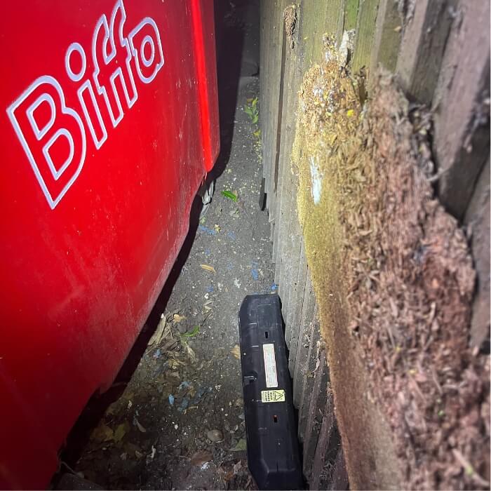 mice rat pest control kent 6